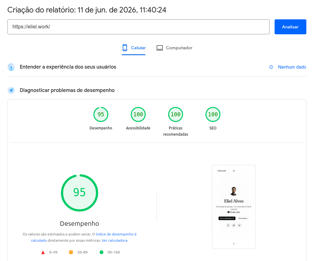 PageSpeed Insights report on mobile: Performance 95, Accessibility 100, Best Practices 100, and SEO 100.